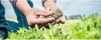 Maybe you would like to learn more about one of these? What Is Carbon Farming Interreg Vb North Sea Region Programme
