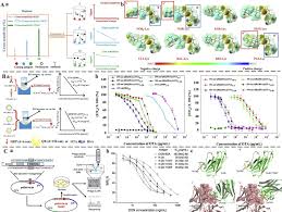 Abnormal mapk signaling may contribute to increased or uncontrolled cell proliferation and/or resistance to apoptosis. Emerging Strategies To Enhance The Sensitivity Of Competitive Elisa For Detection Of Chemical Contaminants In Food Samples Sciencedirect