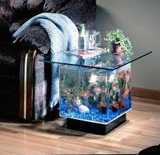 Fish tanks require a lot of cleaning due to algae growth and waste from the fish. Useful Tips For Successful Interior Decorating With Aquariums