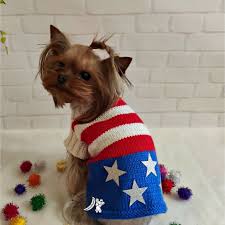 #ruckus the puppy #yorkie #yorkshire terrier #yorkie puppy #yorkshire terrier puppy #ruckus. Knitted Dog Sweater American Flag Dog Clothes Dog Costumes Puppy Clothes Dog Costume Clothes Yorkie Dog Designer Dog Clothes 10675 In Online Supermarket Sol