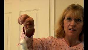 Amazon.com: EONMIR Pinzas de alimentación de acero inoxidable para  reptiles, vivario, plantas, serpiente, lagartos, rana araña, gecko, pinzas  largas para acuario, 2 unidades : Productos para Animales