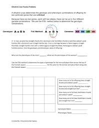 The individuals in this type of cross are homozygous for a specific trait or they share one trait. Dihybrid Cross Interactive Activity Worksheet