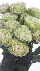 Rose Spray Bamboo Flowers Wedding Flowers Rose