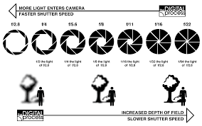 Aperture Priority And Depth Of Field In Digital Photography