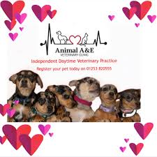 Animal A&E Veterinary Clinic LTD