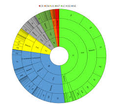 Multi Level Pie Chart Illustrating The Different Fishing