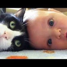 Kedi Kopek Bebek Videolari