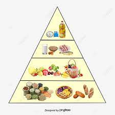 Para arkeolog menemukan kamar makam yang mungkin menjadi rumah peristirahatan terakhir seorang putri mesir. Gambar Makanan Nutrisi Piramid Makanan Dengan Seragam Png Dan Psd Untuk Muat Turun Percuma