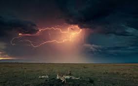 Africa Plains Lightning Storm Hd Wallpapers Wallpapers For Desktop Android Iphone Nature Wallpapers Anime Wallpapers Car Wallpapers Blitze