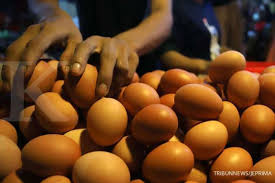 Adapun tiga daerah yang harga telur ayamnya relatif paling rendah dibanding daerah lain adalah: Setinggi Ini Harga Telur Ayam Terbang Pantas Emak Emak Mengeluh