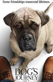 Uma tribo de gatos chamada jellicles todo ano precisa tomar uma grande decisão em uma noite especial: Assistir Completo The Sun Is Also A Star 2019 Filme Completo Dublado Hd1080p A Dog S Journey Full Movies Online Free Full Movies