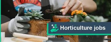 Part time jobs near me is straight forward and easy to use! 15 Best Horticulture Jobs Highest Paying Jobs For Horticulturists