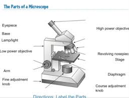 Check spelling or type a new query. Microscope Labeling Activity Smart Board Activity By Mrs Flynn Science