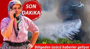 Balıkesir son dakika haberleri, gazeteleri, internet manşetleri, yazarları, canlı tv ve radyoları. 7khnrmnznjb Ym