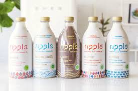 Vegan brand ripple foods recently launched its vegan pea milk at wholesale giant costco. Ripple Plant Milk Review Info Several Varieties Dairy Free Vegan
