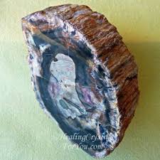 Natural black colored petrified wood side tables that are handmade from real fossilized wood for sale. Petrified Wood Meaning Use Enhances Patience Ancestral Healing