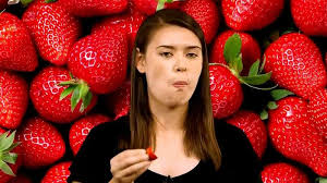 We did not find results for: Strawberry Description Cultivation Species Facts Britannica