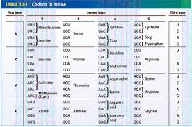 Mr Goodes Class Website Blog Archive Dna Codes For