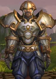 The point of taking the starting package of equipment is to get started playing quickly. The Paladin Leveling Guide For Wow Shadowlands Gotwarcraft Com