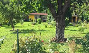 Kaufen in harz (kreis) jetzt wohnung vermieten. Grundstuck Harz Immobilien