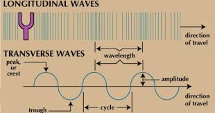 Practice identifying the characteristics of a longitudinal or transverse wave such as the wavelength, crest, and areas of compression. Longitudinal Vs Transverse Waves Physics Experiments Physical Science Life Hacks For School