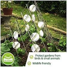 12 Tips On How To Keep Birds From Pooping On My Deck Porch Patio And Pool Bird Deterrents Lawn And Garden Birds
