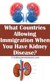 Pin On What Is Kidney Disease