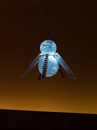 Bildergebnis für Denis Savary