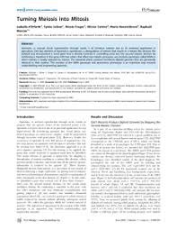 Documents similar to mitosis worksheet and diagram identification. Mitosis Worksheet 2