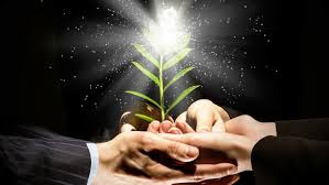 Managing Change: Learn to thrive through change. | Udemy