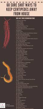 60 Sure Shot Ways To Keep Centipedes Away From House