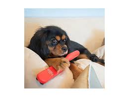 Toss our new mega sheet into the dryer to bounce out hair, lint, wrinkles and static. How To Get Rid Of Pet Hair 8 Simple Hacks And Tips Spy