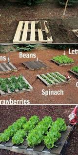 35 Creative Garden Hacks And Tips In 2020 Home Vegetable Garden Vegetable Garden Design Garden Projects