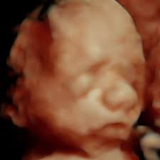 Close to Baby, LLC added a new photo...