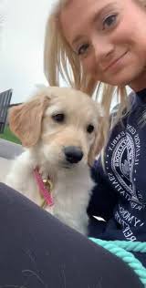 8 weeks old and the sweetest little girl. This is my Sunny 💛☀️