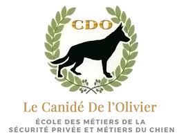 Centre de formation maitre chien. Formation Maitre Chien En Gironde Cdo 33