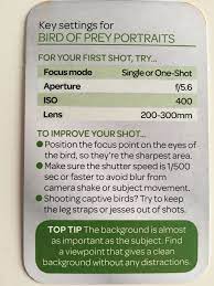 Pin On Pictures Cheats
