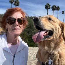 The Sheik bar in Burlington history