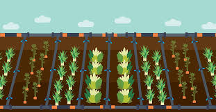 Jul 17, 2018 · drip irrigation systems eliminate the need to drag around hoses and sprinklers. Drip Irrigation Fix Com