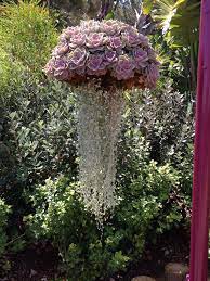 Another Sea World Masterpiece Succulents Mimicking A Jellyfish Hanging Succulents Hanging Garden Succulents Diy