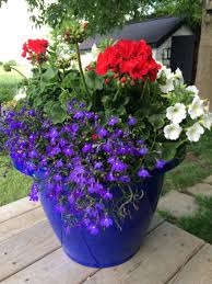 Since these two planters are next to each other on the deck, repeating the plants helps well, those are my patriotic red, white and blue flower pot combinations for this year. Red White And Blue Flower Arrangement Lobelia Geraniums And Wave Petunias Container Flowers White And Blue Flowers Blue Flower Arrangements