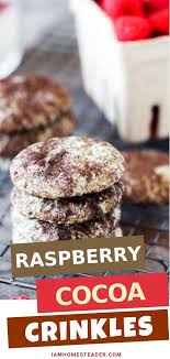 Raspberry Cocoa Crinkles Easy Cookie Recipes Crinkles Recipe Recipes