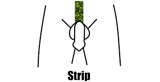 Pubic Hairstyles For Men And Women What Looks Best Down There Product Rankers