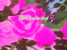 Share the best gifs now >>> Schonen Tag Gifs Get The Best Gif On Giphy
