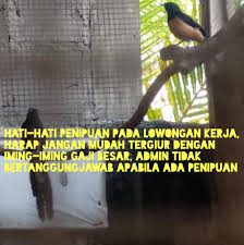 Cara mengambil uang pengiriman di alfamart. Lowongan Kerja Magelang Wonosobo Purworejo Kutoarjo Jogja Facebook