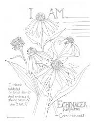 If you prefer, print all the coloring pages at once. Echinacea Consciousness Coloring Page My Soulflower