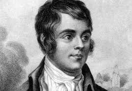 BURNS NIGHT
