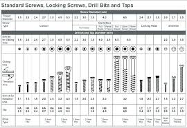 torx sizes