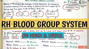 Kidney Function Tests Kfts Rfts Explained In An Easy Way In Hindi And Urdu Youtube