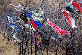 Check spelling or type a new query. Native American Prayer Cloth Tied To Trees At Bear Butte Stock Photo Image Of Crazyhorse Americans 113699644